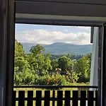 Wrzos Karkonoszy