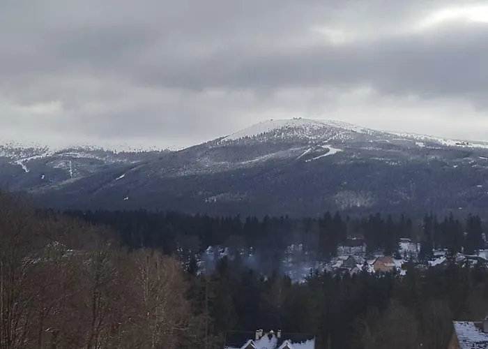 Wrzos Karkonoszy * Schreiberhau